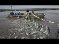 Amazing Net Fishing - Most Satisfying Big Catch Fishing At Sea With Beautiful Natural