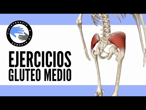 Video: Los Mejores Ejercicios Para El Delta Medio