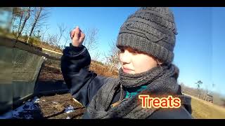 Jurassic World... But With Chickens Instead