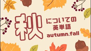 【60単語】秋についての英単語 (autumn, fall)