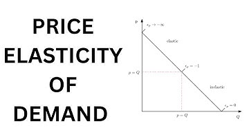 The Price Elasticity of Demand | Microeconomics