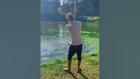 Bài cháo dừa câu cá tra