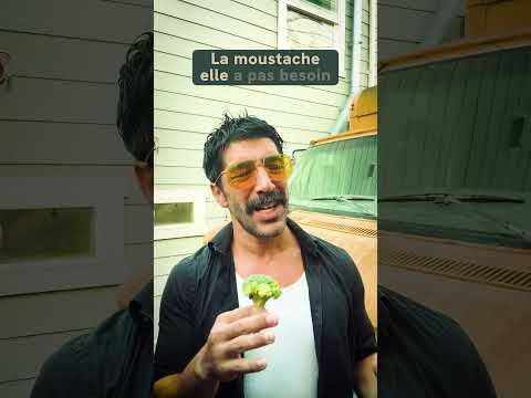 Moustache | Brèves de Pétard