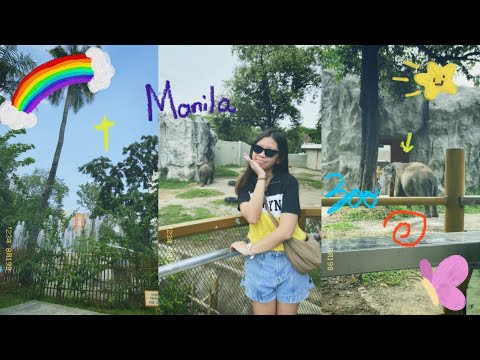 Mnl diaries 🎧: Manila zoo vlog 𖦹⋆彡🫧꩜♪⋆