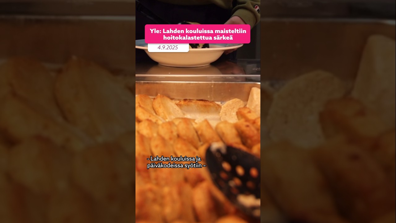 Mitä mieltä oot koulun kalaruuista?🐟🍽 #yle #ylemix #uutiset #särki