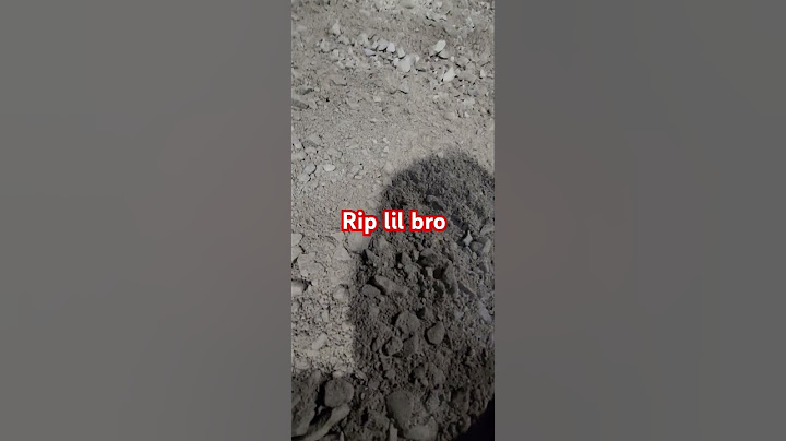 must been like an avalanche for lil bro.
