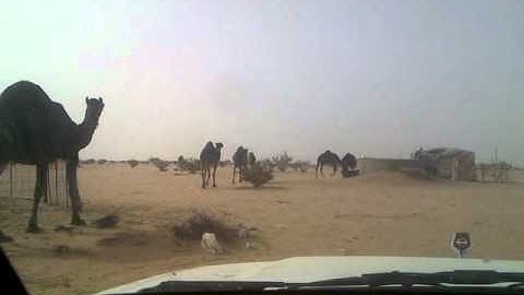دحيم الحماد تلاوة من سورة  يس برنية ١٤٣٢ ه