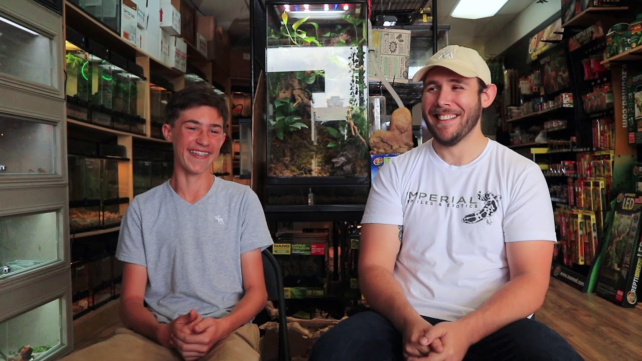 reptile care app Imperial Reptiles & Exotics TOUR and INTERVIEW | MOS REPTILES