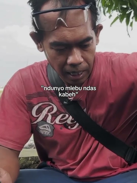 Terno Ngamok Lekk #beranda #kontenjawa #lucu #komedikuncir #komedijawatimur #storywa #hiburanrakya