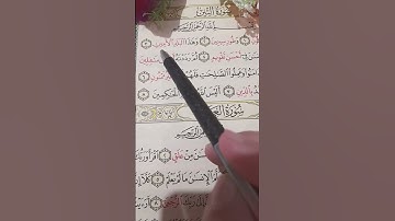 سورة التين تلاوة هادئة تريح القلب(الشيخ مشاري العفاسي )