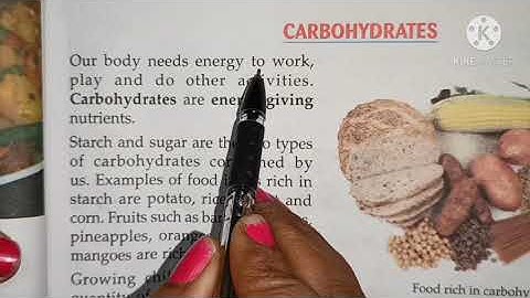 class 4th Science chapter-5 Food our basic needs( Part -1)