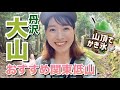 【丹沢大山】ソロ登山！暑すぎてかき氷2個食べた🍧［女坂-大山阿夫利神社-男坂］