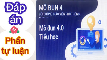ĐÁP ÁN ( PHẦN TỰ LUẬN ) MÔ ĐUN 4 BỒI DƯỠNG GVPT - MÔ ĐUN 4.0 TIỂU HỌC  | Phương Vy Channel