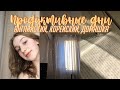 Учись со мной // Study with me // Продуктивные дни