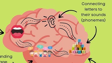 Kiss Your Reading Brain (Teach kids how they learn to read)