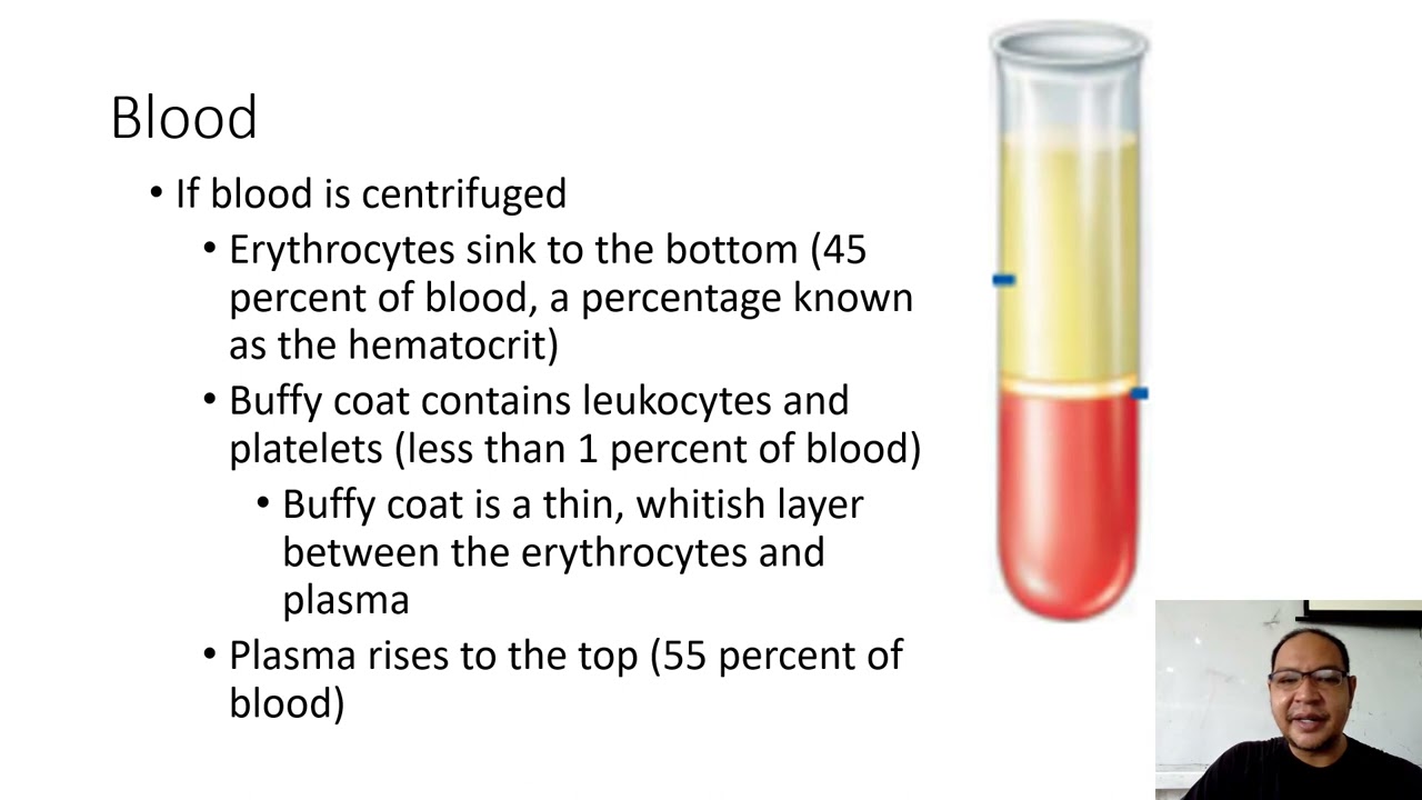 19 1 Blood Characteristics and blood plasma