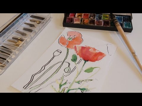 Comment peindre un coquelicot à l'aquarelle? ( dessiner un coquelicot  facilement) - thptnganamst.edu.vn