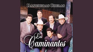 Video thumbnail of "Los Caminantes - La Cama de Piedra"
