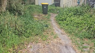 He BROKE his NECK...so I offered to help - front yard clean up part 2.