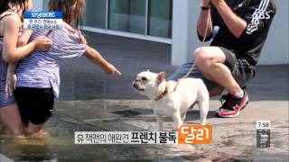 모닝와이드 20130718 #6(4)