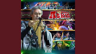 Vienes y Te Vas (Live)