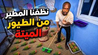 تنظيف المطير بعد المجزره🥲
