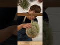 スモークツリーで作るフラワーボール#shorts