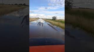 13 1 2019 "alagon" partido pehuajo provincia bs as Argentina