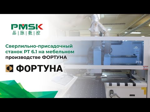Сверлильно-присадочный cтанок PT 6.1 для автоматизации мебельного производства