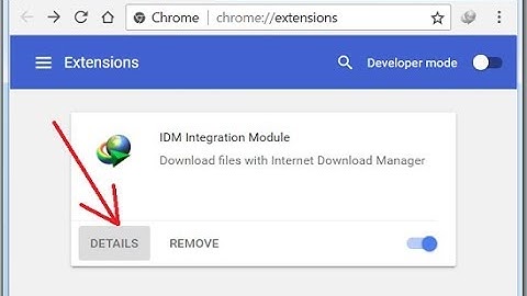 How to Fix IDM Extensions & Not Showing On Google Chrome