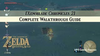Breath of the Wild | Xenoblade 2 Armour [DLC] Side Mission Complete