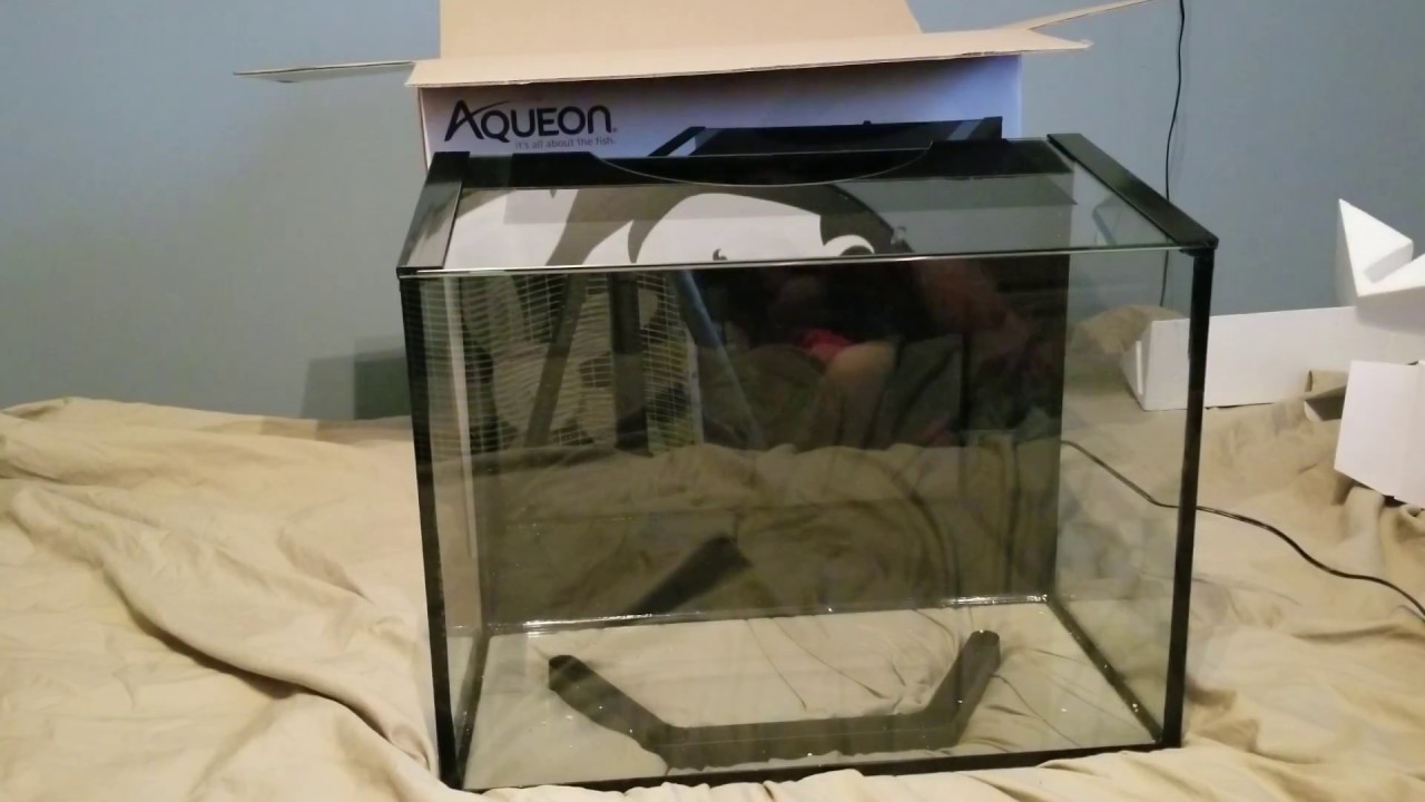 Aqueon 21 gallon frameless aquarium Clearance