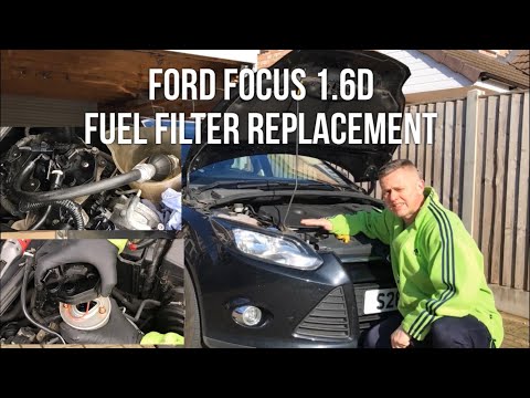 Video: Kje je filter za gorivo na Ford Focusu iz leta 2010?