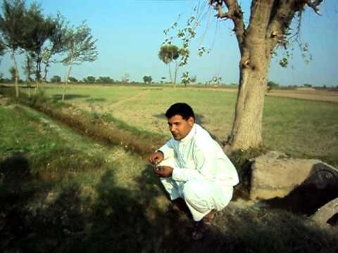 Umar Butt Malik pur 203 rb Faisalabad pakistan 310...