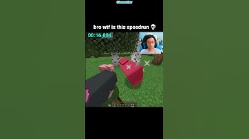 Minecraft Upside Down T Moment