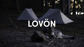 Beautiful overnight summer hike with Tamaskan on Lovön in Stockholm, Sweden!