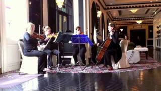 Video 3 thumbnail for Sirona Strings