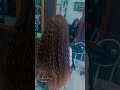 Eva fashion hair #ytshorts #braids #ytviral
