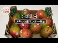 【コストコ購入品】メキシコ産マンゴー4kg