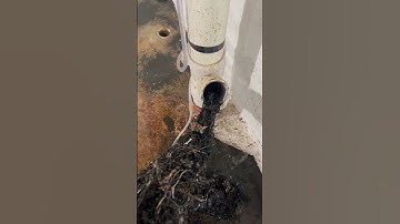 Satisfying Drain Cleaning! 😍