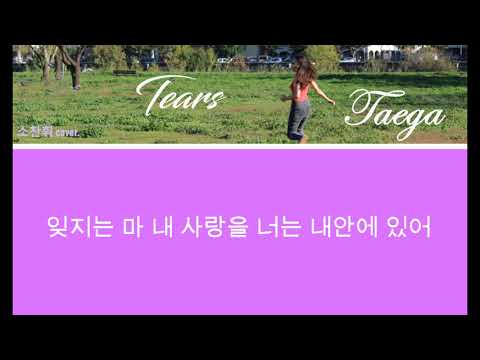 [ 태가 Cover.] So Chan Whee(소찬휘) - Tears ( 한글 )