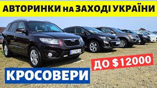 КРОСОВЕРИ до $12000 на АВТОРИНКАХ на ЗАХОДІ УКРАЇНИ // 10.05.2024р. #кросовери #автобазар #карбазар