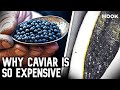 How Caviar Went from Poor Man&#39;s Food to $37,000 a Bite