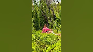 Khu Rừng Đẹp Và Cô Gái Đang Chill Bên Bờ Suối Nhỏ #canhdepthiennhien #vietnam #chill