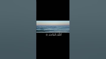 قالُوا مَنْ فَعَلَ هذا بِآلِهَتِنا إِنَّهُ لَمِنَ الظَّالِمِين||تلاوة خاشعة بصوت القارئ اسلام صبحي💗🌿