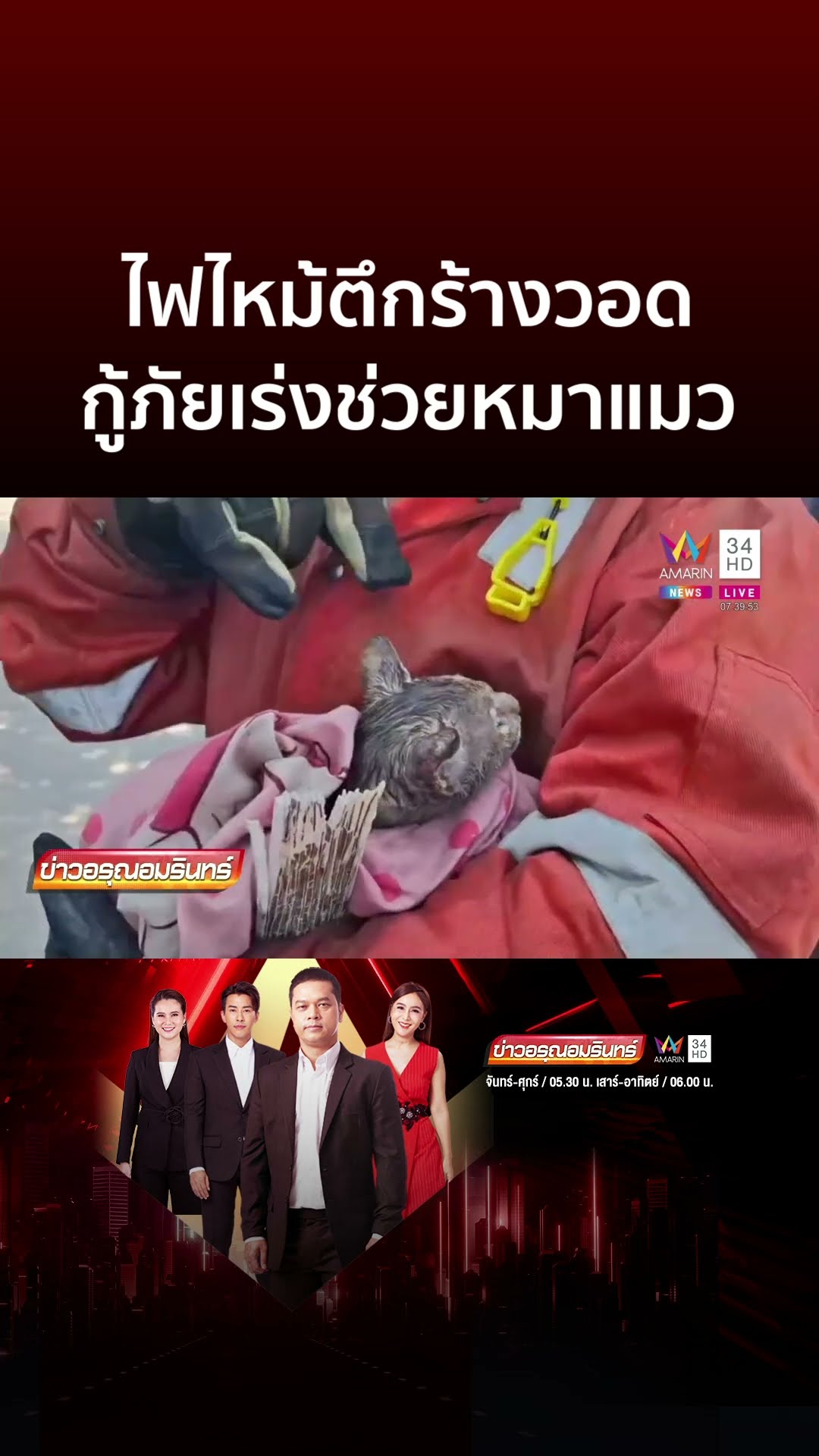 ตึกร้างไฟลุก จนท.ช่วยวุ่นคนเร่ร่อน-หมาแมว | ข่าวอรุณอมรินทร์