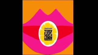 Cornershop - The Constant Springs