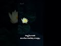 Alliyambal Kadavil | Whatsapp status | Vijay Yeshudas | Full screen Whatsapp status Whatsapp Status Video Download Free