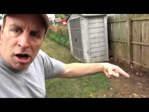 The Shed, Part 1