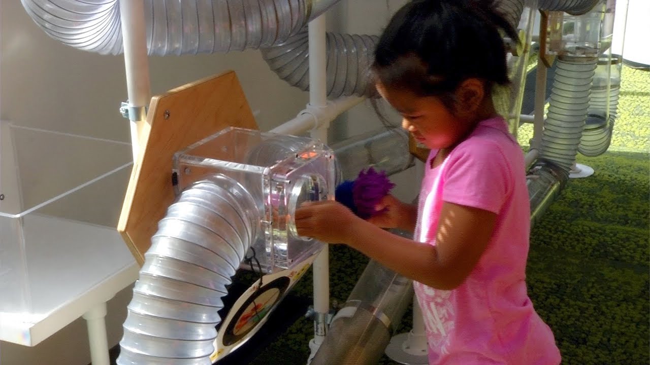 Great Programs at Brooklyn Park Library YouTube